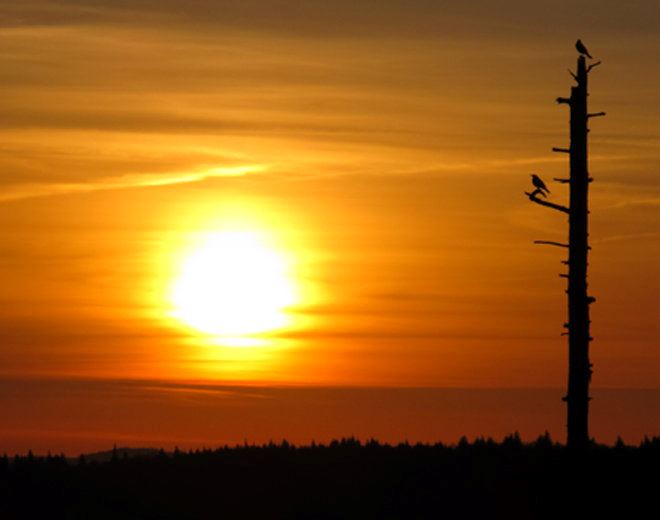 Sunrise Backcountry Cabin - SnowShoe Mountain Resort - 5