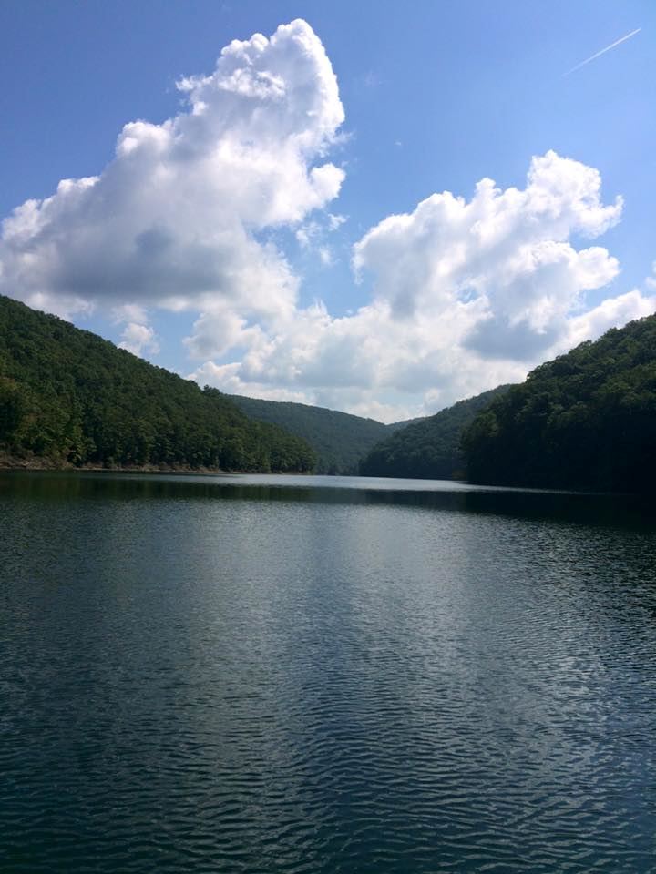 Sutton Lake Marina - 5