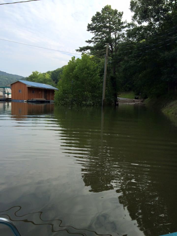 Sutton Lake Marina - 4