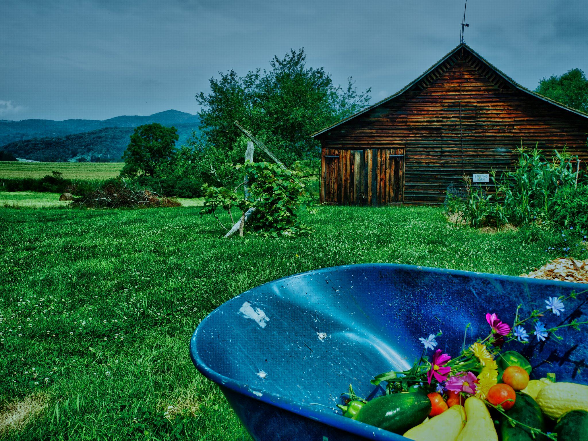 Pearl S. Buck Birthplace - 4