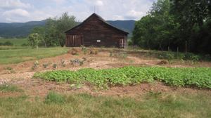 Pearl S. Buck Birthplace - 7