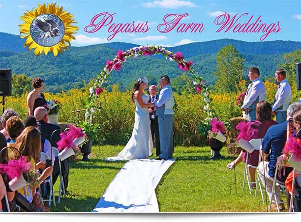 Pegasus Farm Campground - 1