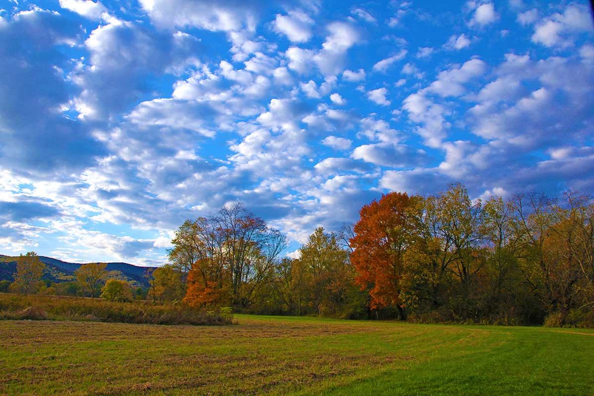 Pegasus Farm Campground - 6