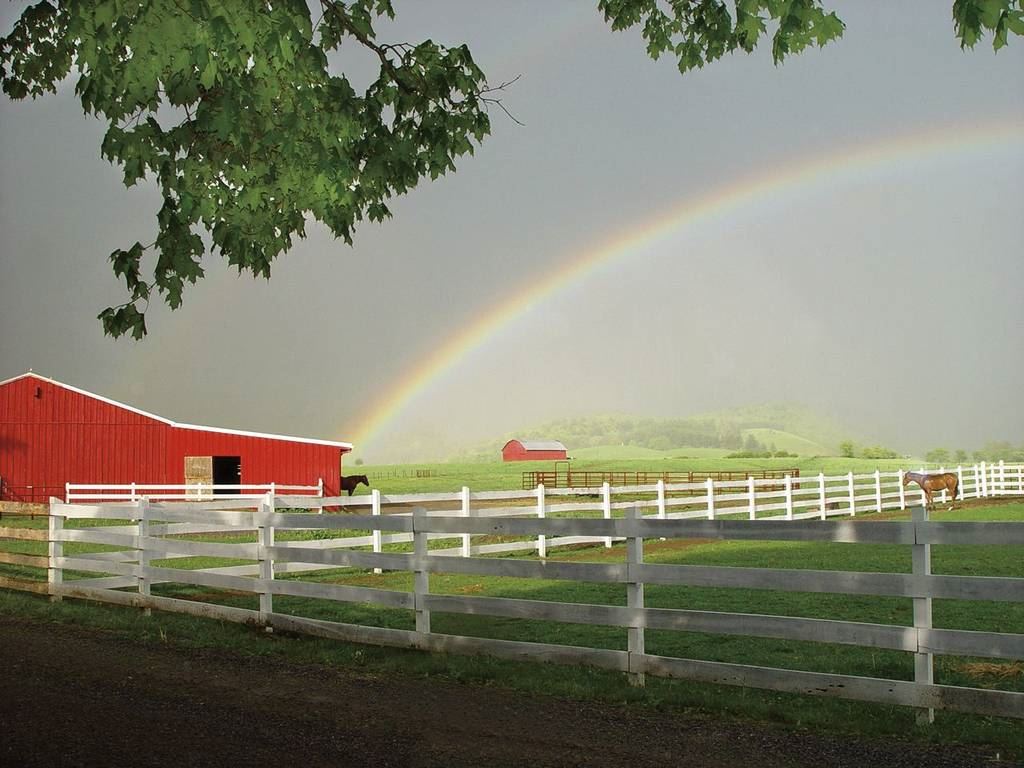 Inn at Mountain Quest - 2