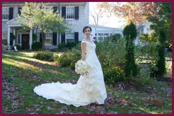 Purple Iris at Hartwood Mansion - 3