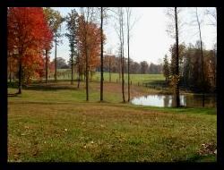 Knotty Pine Lodge - 5