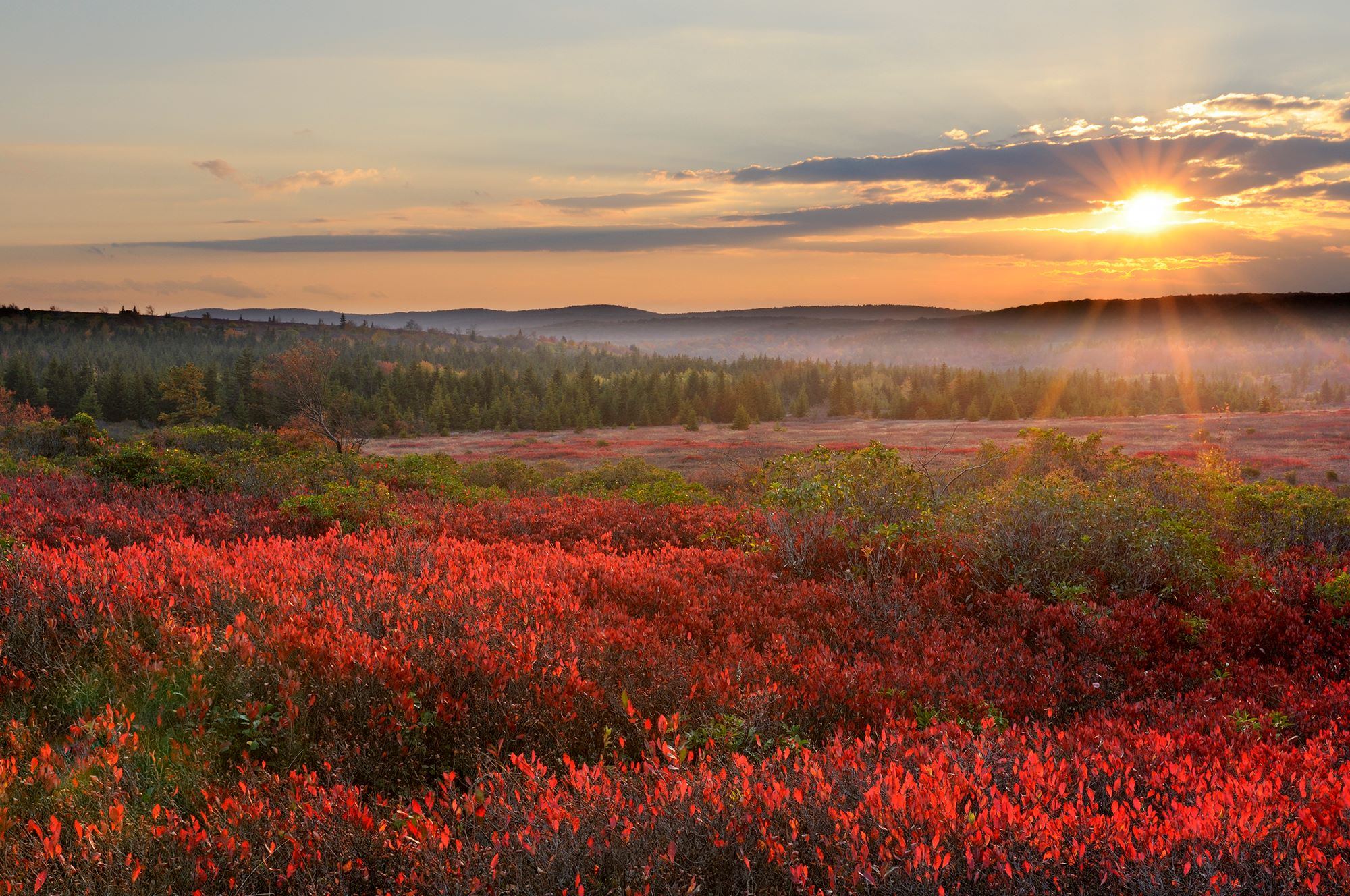 Morgantown Marriott at Waterfront Place - 4