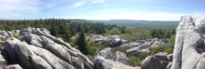 The Purple Fiddle - 5