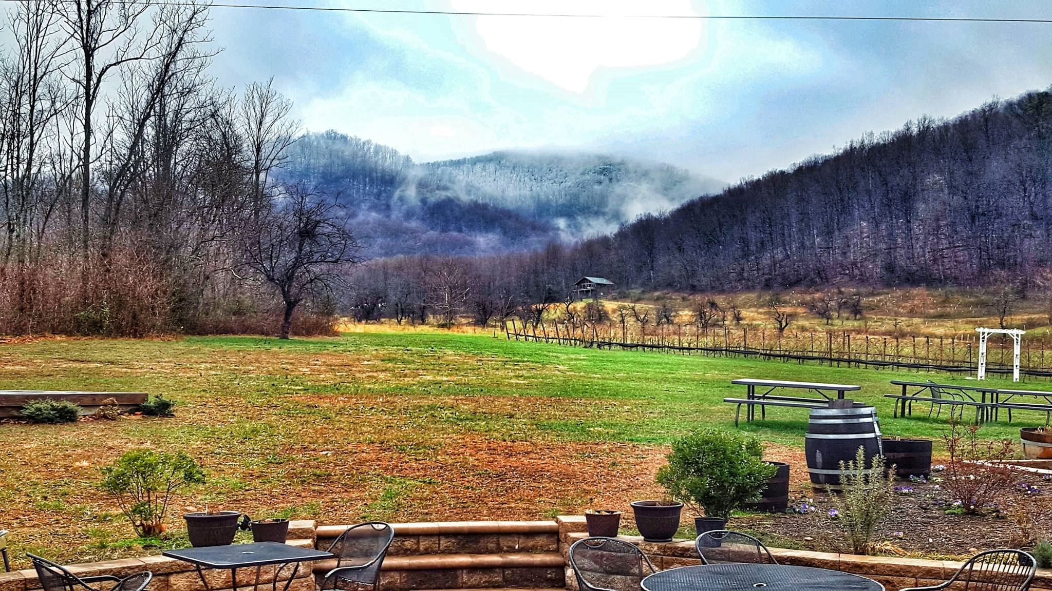 DuCard Vineyards - 5