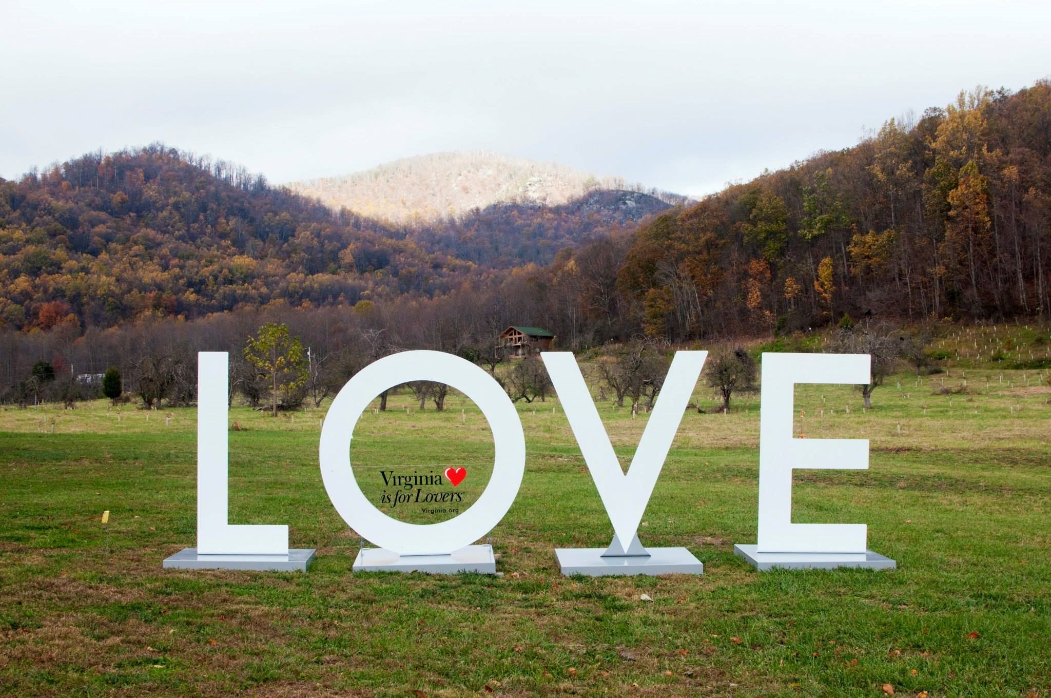 DuCard Vineyards - 4