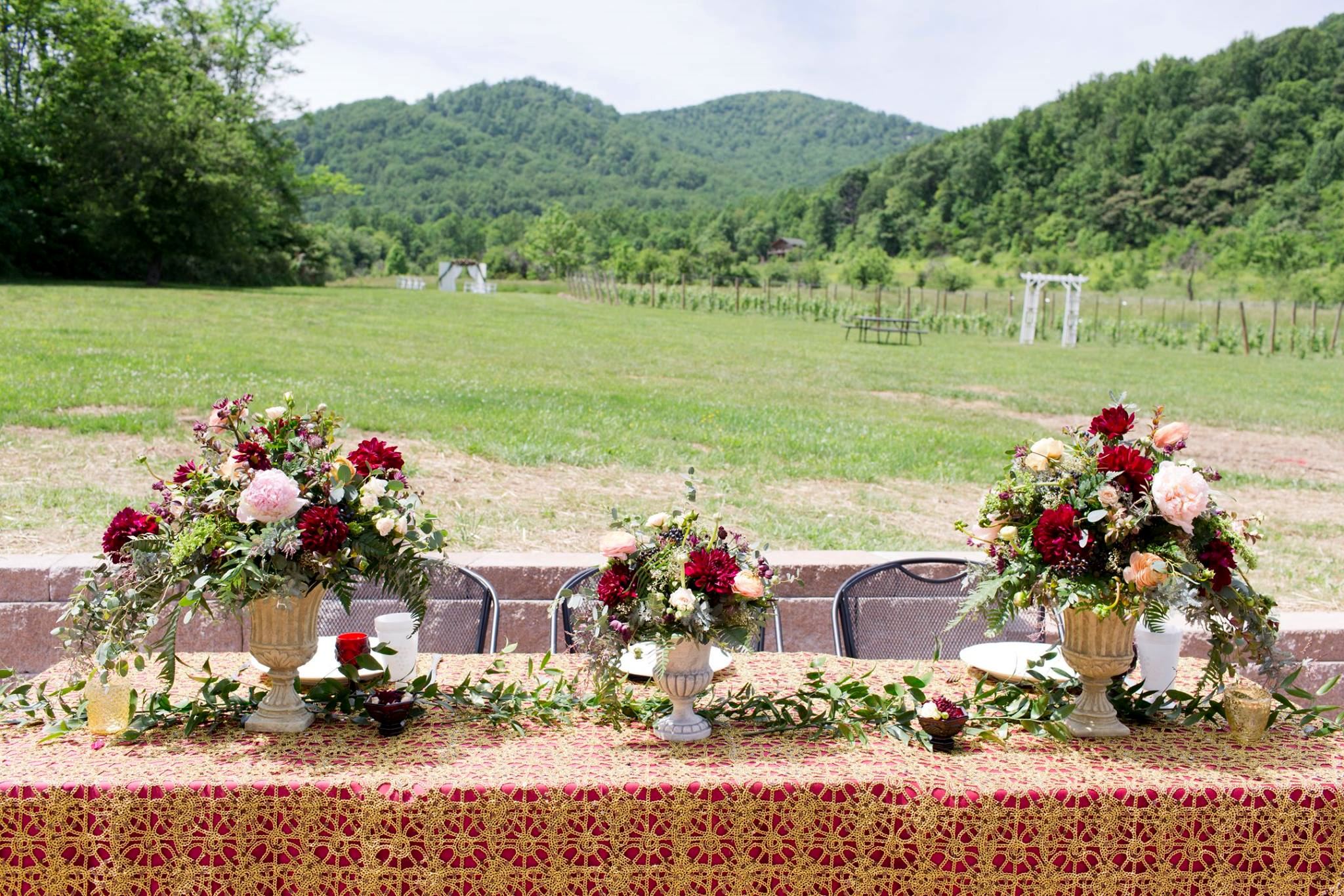 DuCard Vineyards - 6