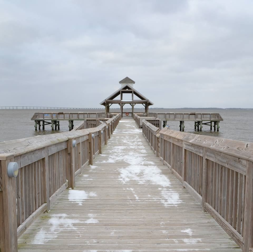 NC Aquarium on Roanoke Island - 3