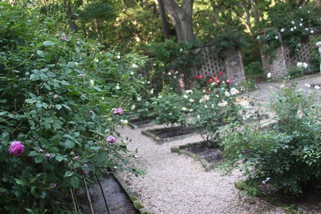 The Elizabethan Gardens - 4