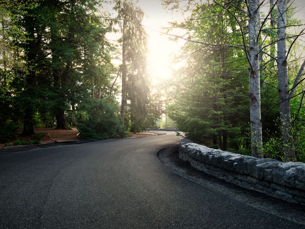 Biltmore Estate Winery - 3