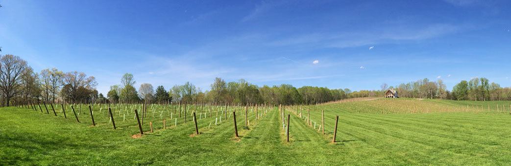 Old North State Winery - 2