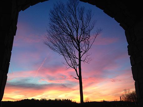 Old North State Winery - 7