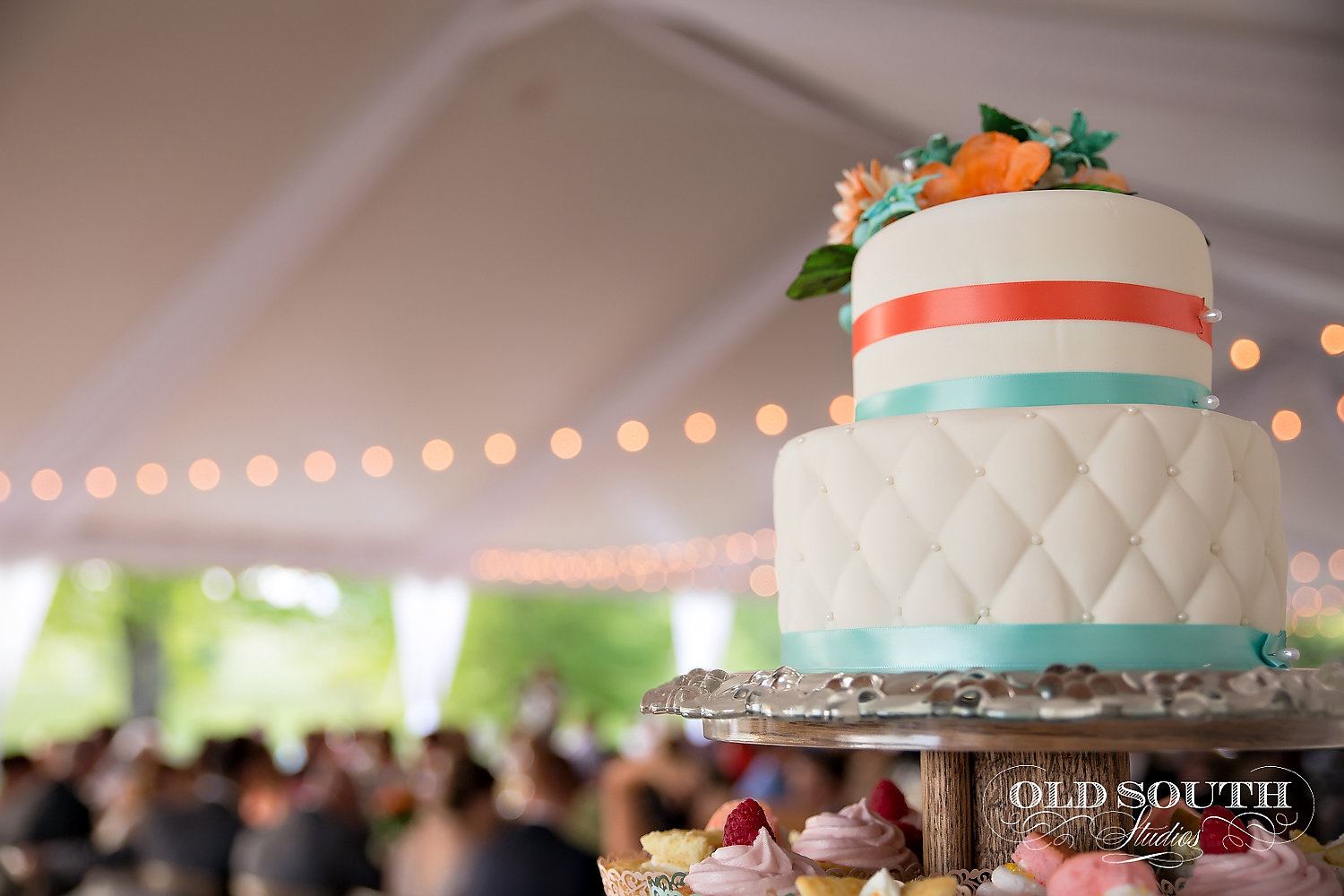 Shelton Vineyards - 7