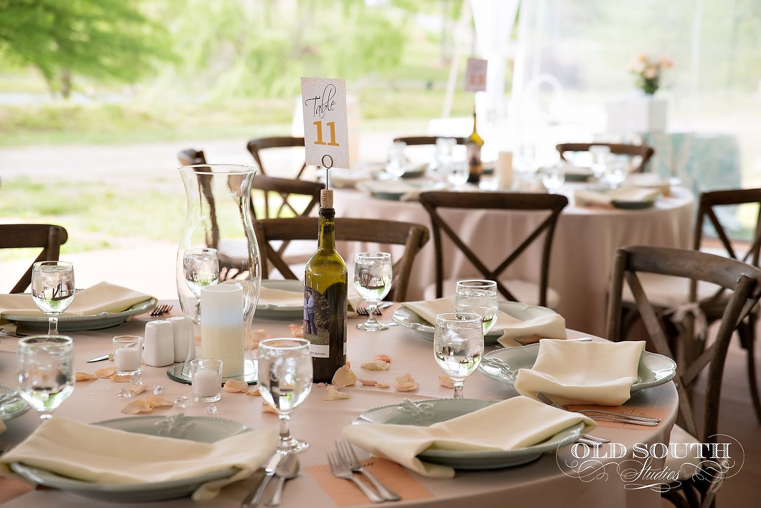 Shelton Vineyards - 6