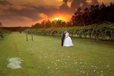 Silver Coast Winery - 1