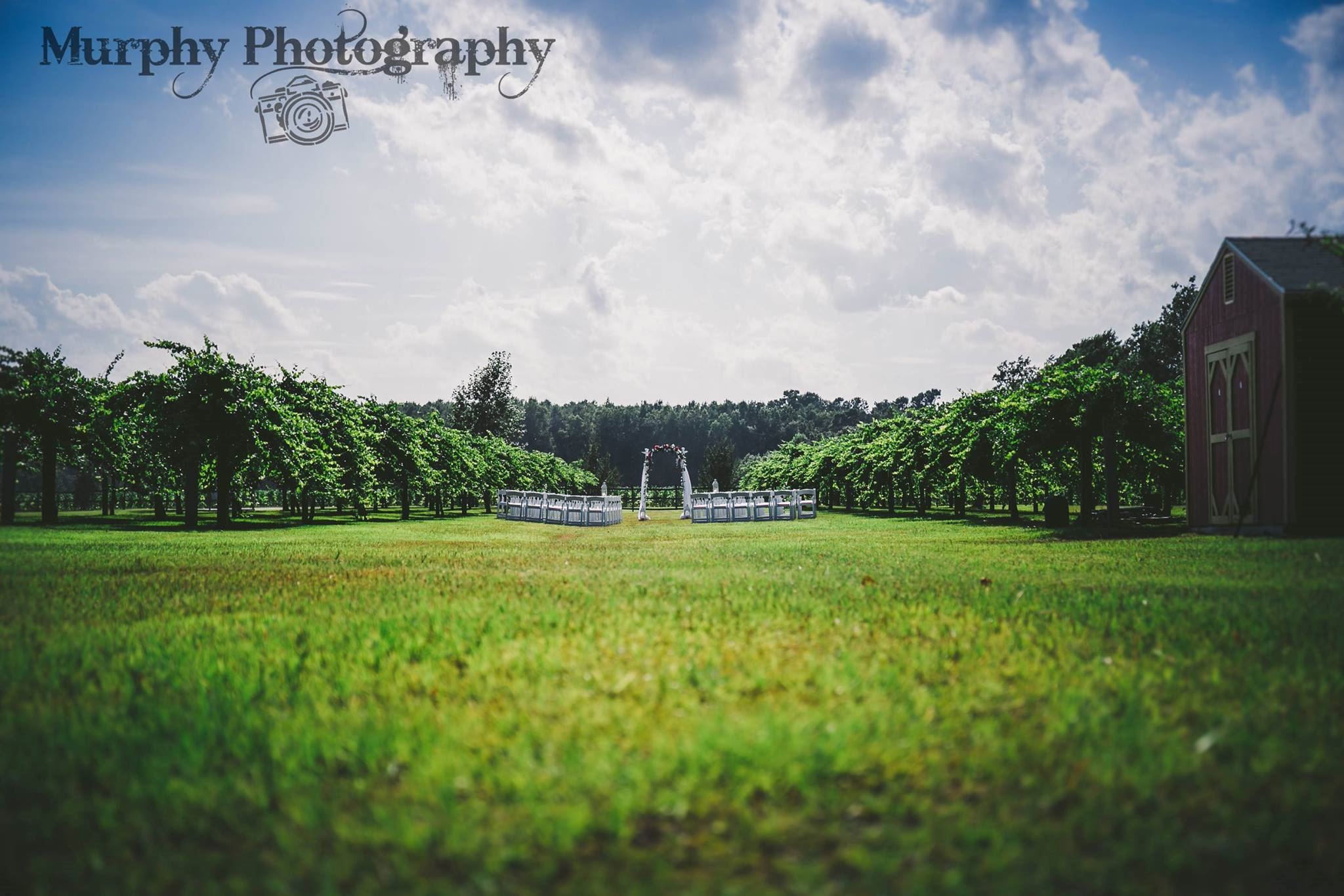 Silver Coast Winery - 7