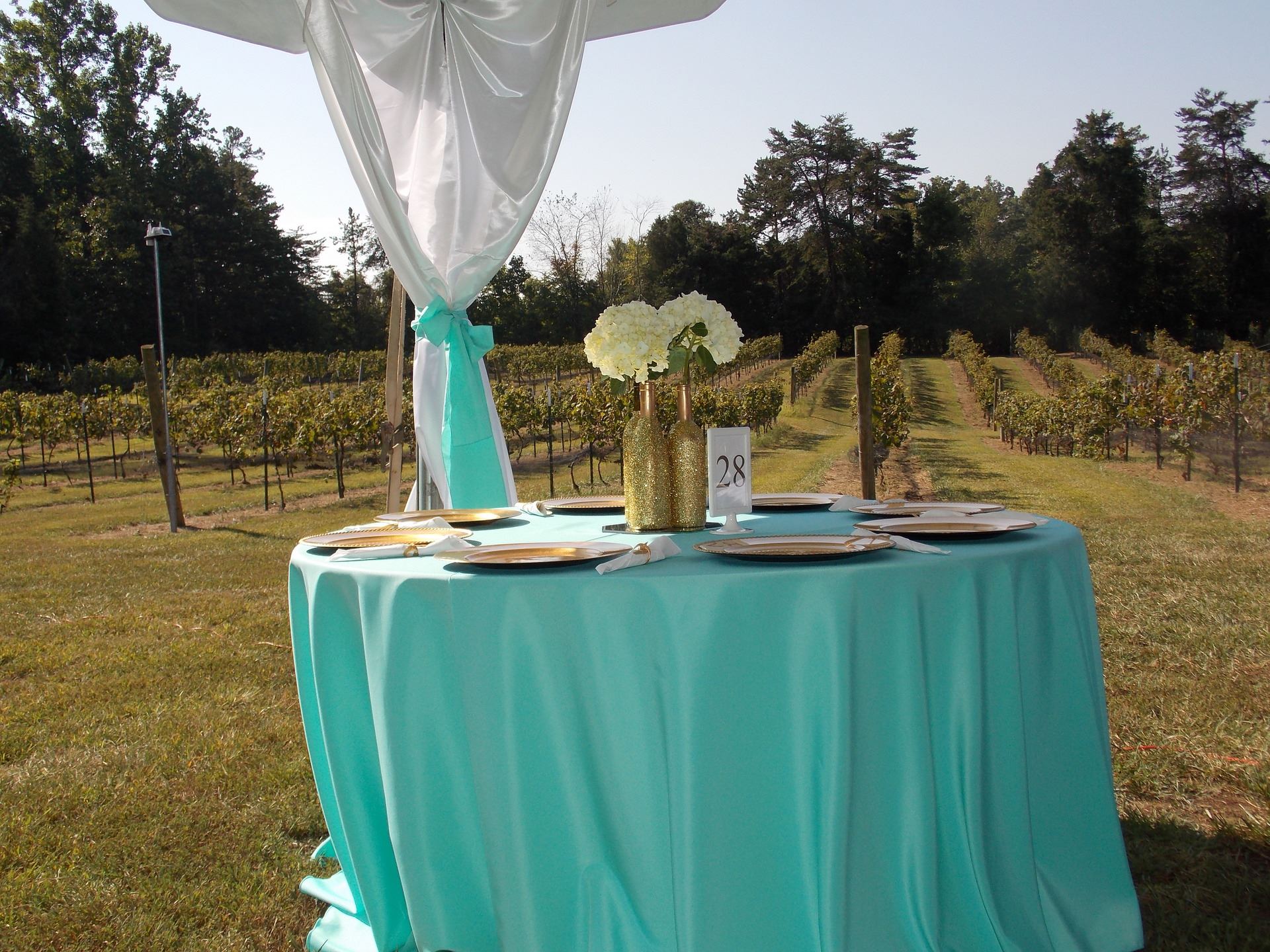 Weathervane Winery, Winston Salem, North Carolina, Wedding Venue