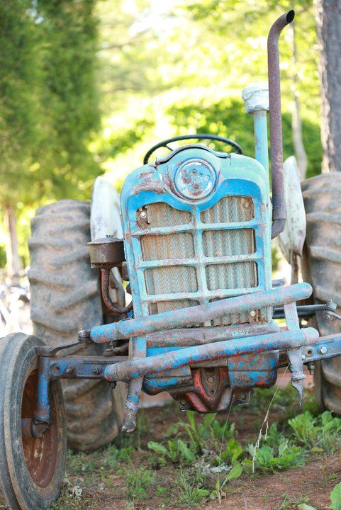 Zimmerman Vineyards - 4