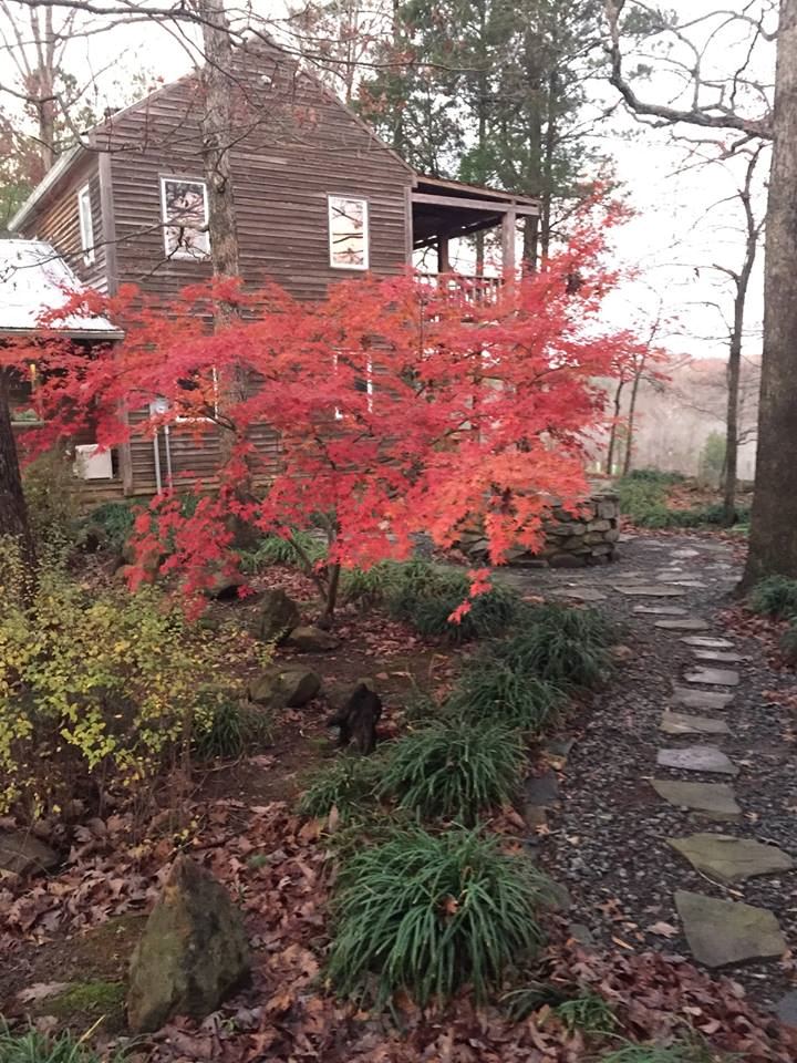 Zimmerman Vineyards - 3