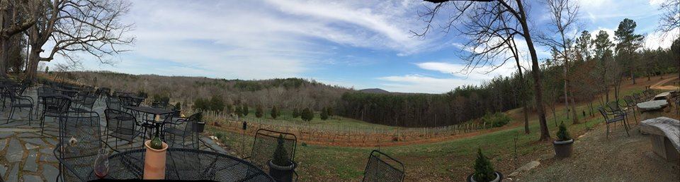 Zimmerman Vineyards - 7