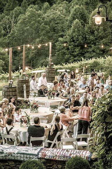 The Vineyards at Betty's Creek - 6