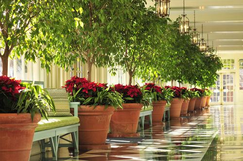 The Carolina Inn - 3