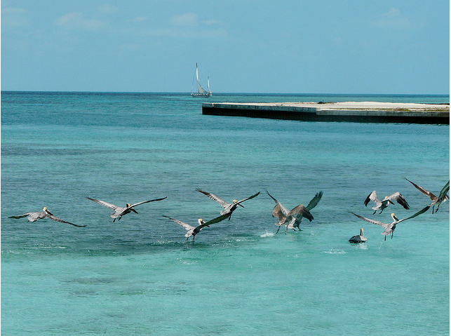 The City Club of Wilmington - 2