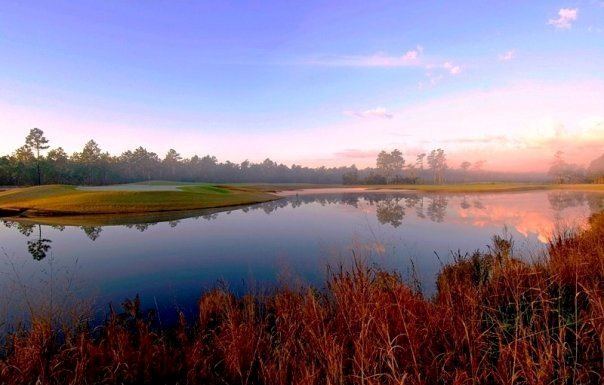 The Clubs at St. James Plantation - 4