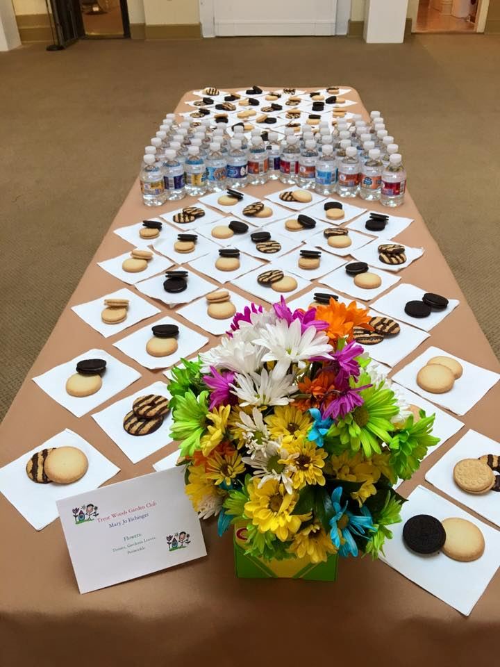 Craven Arts Council And Gallery Inc. - 4