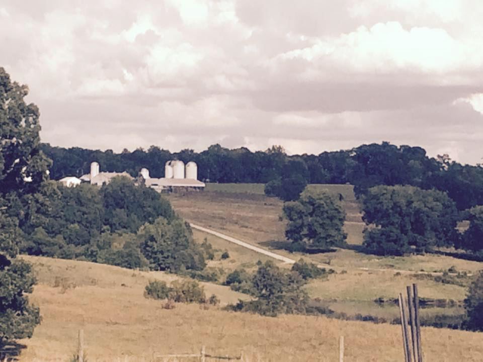 Experience Oakhaven - 4