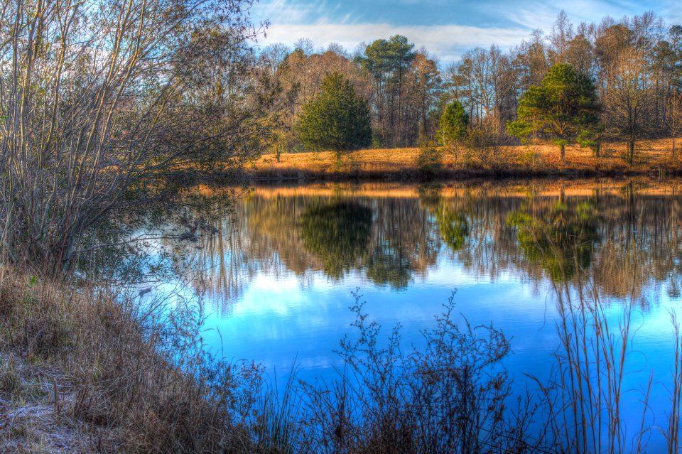 The Farm on Lil' Black Creek - 7