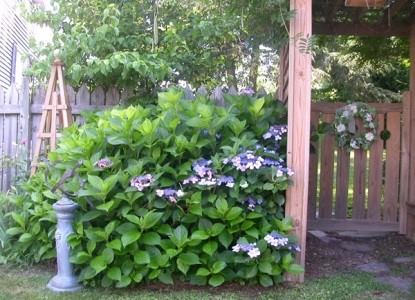 Fuquay Mineral Spring Inn And Garden - 1