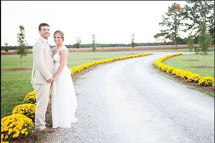 Meadow Creek Farm - 7