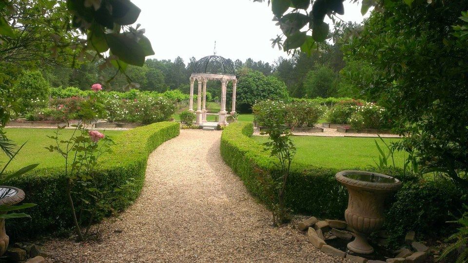 Maria's Vineyard - 5