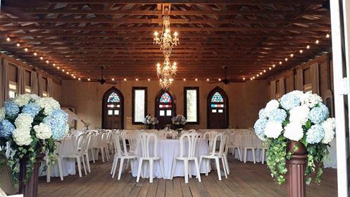 Maria's Vineyard - 7