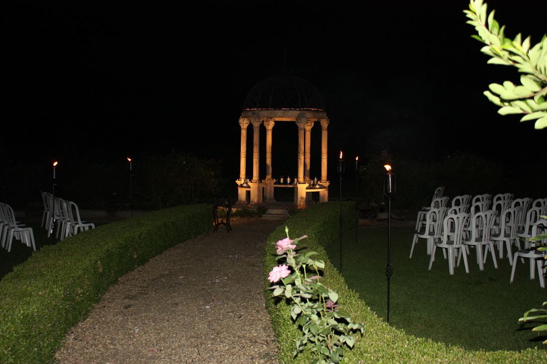 Maria's Vineyard - 4