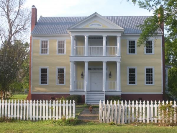 Black Thistle Plantation - 2