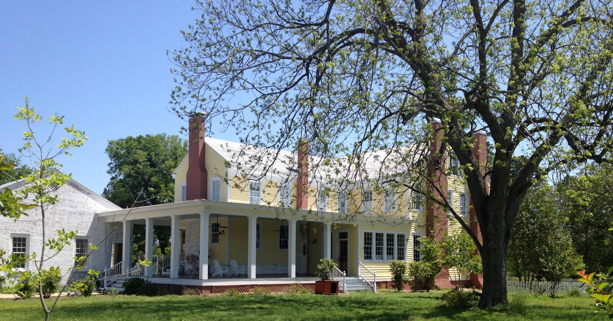 Black Thistle Plantation - 3