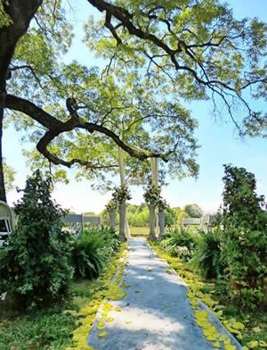 Rocky Mount Weddings and Events - 6