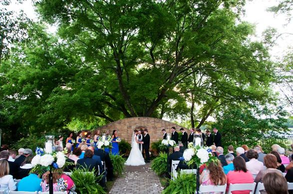 Rocky Mount Weddings and Events - 3