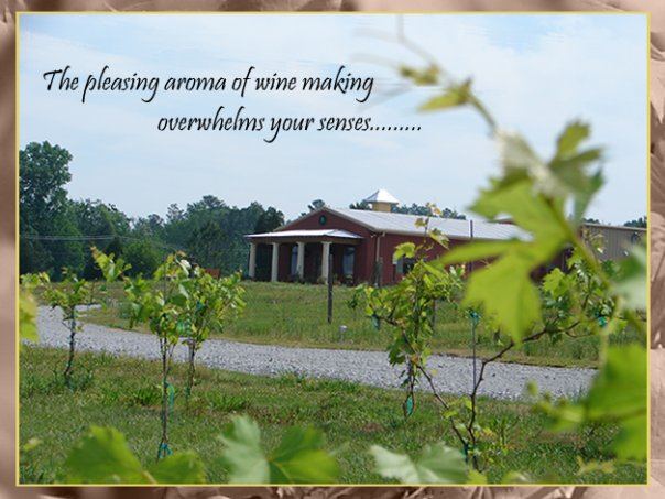 Vizzini Farms Winery - 1