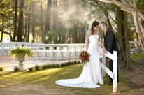 Savannah Woods Plantation - 7