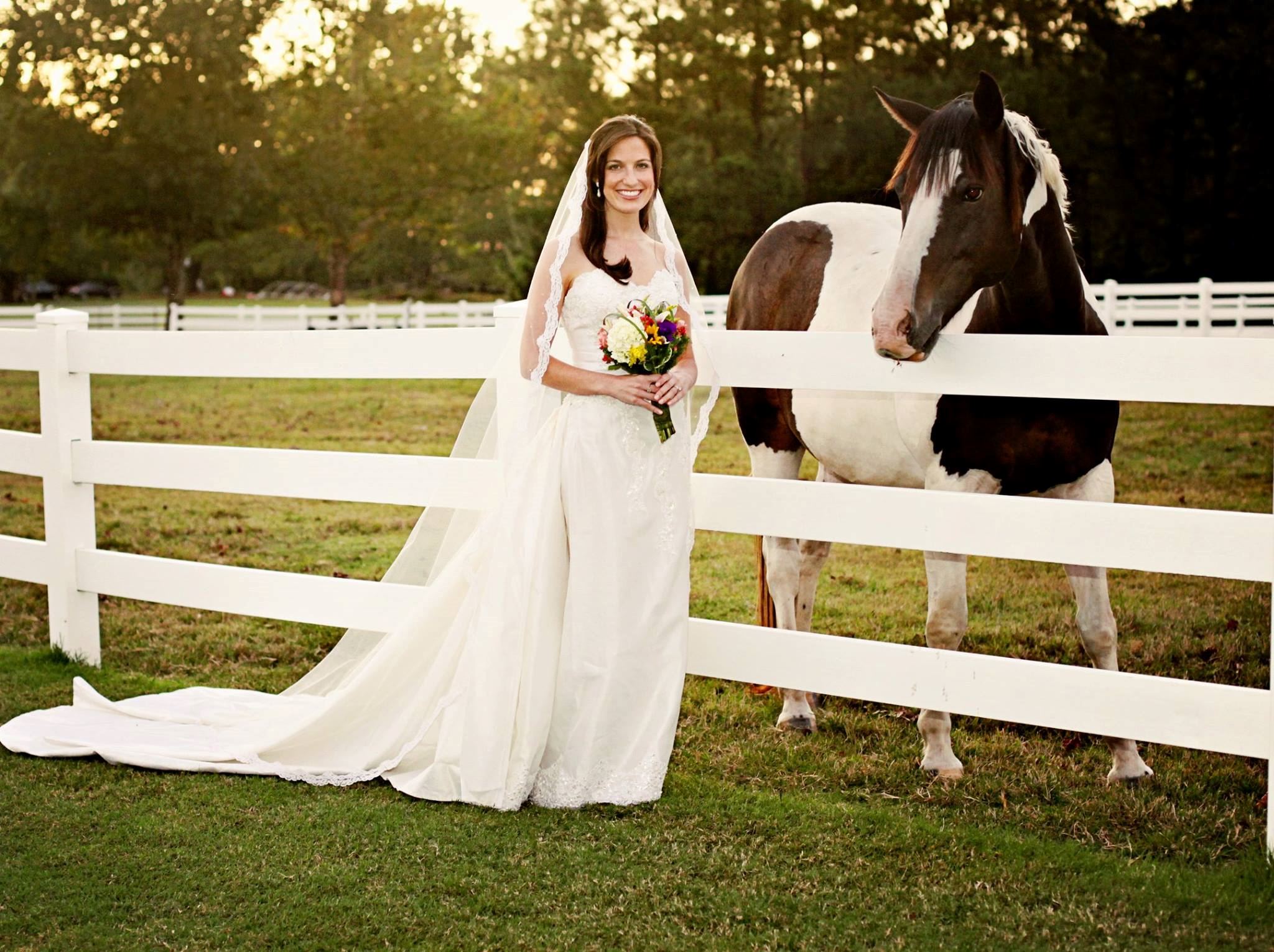 Maple Grove Farm - 2