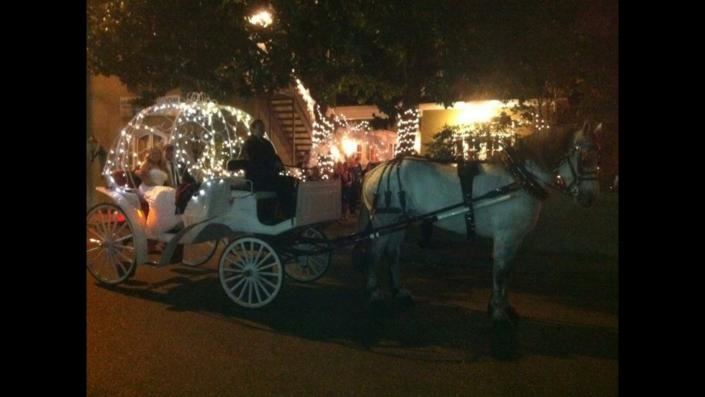 The Magnolia Room Memphis - 7