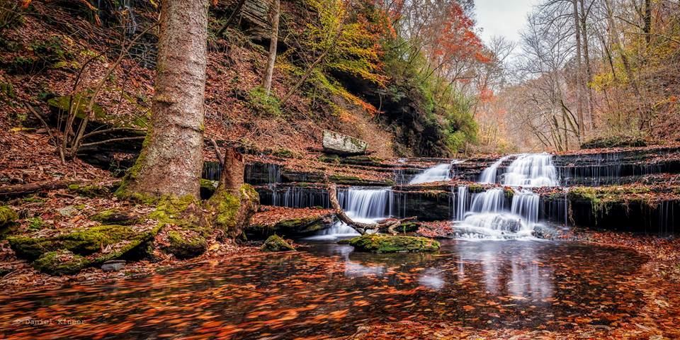 Pickwick Landing State Park - 6