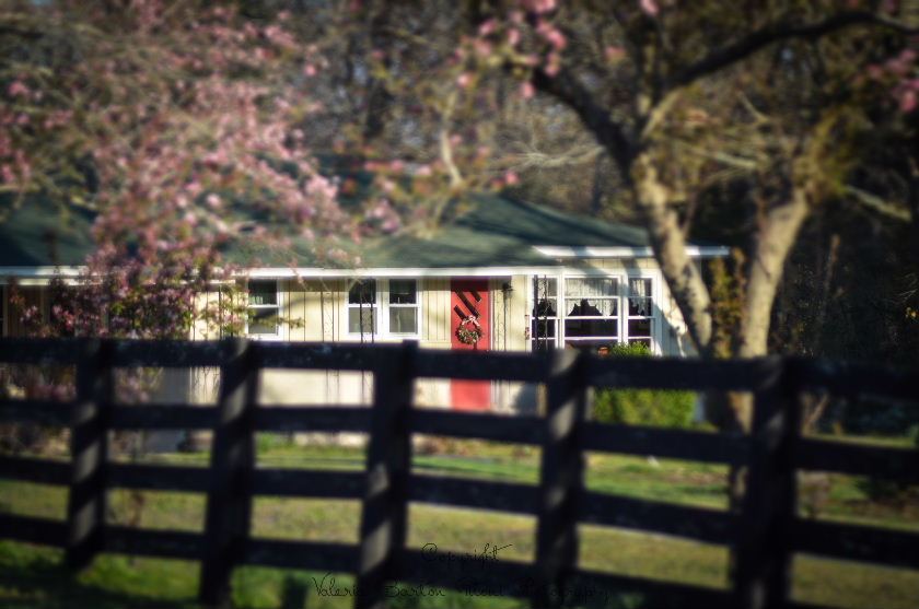 Stillwaters Farm - 4